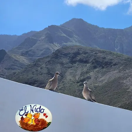 El Nido * Agaete (Gran Canaria)